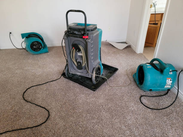 Best Fire Damage Restoration  in Lee Acres, NM