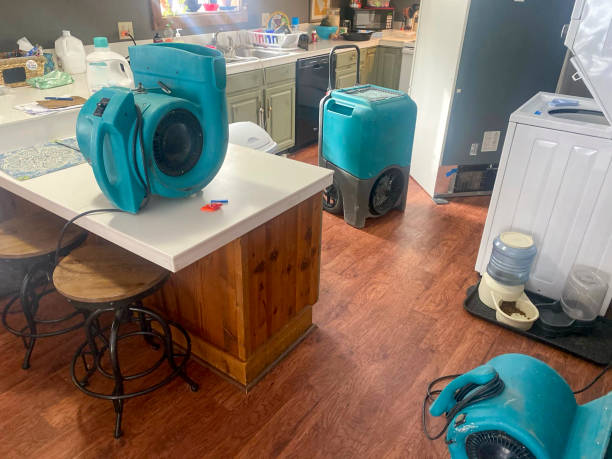 Best Ceiling water damage repair  in Lee Acres, NM